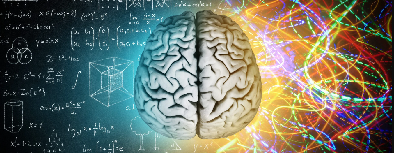 Brain Club®: January 2026 Understanding Your Nervous System